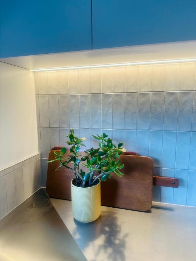 2 Bed Beckenham Beauty - Pet Friendly Villa Christchurch Ngoại thất bức ảnh
